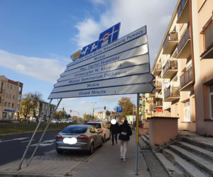 Wichury w Toruniu. Żywioł wywracał drzewa i nie tylko