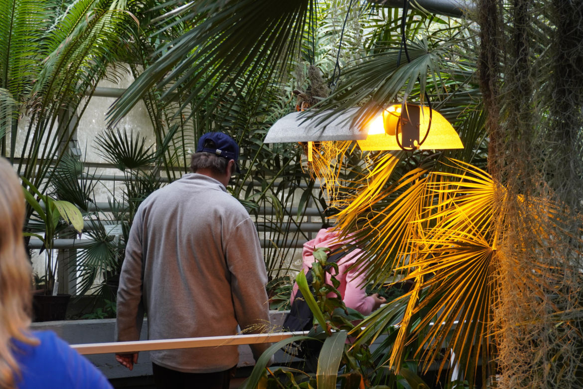 Ogród Botaniczny w Lublinie