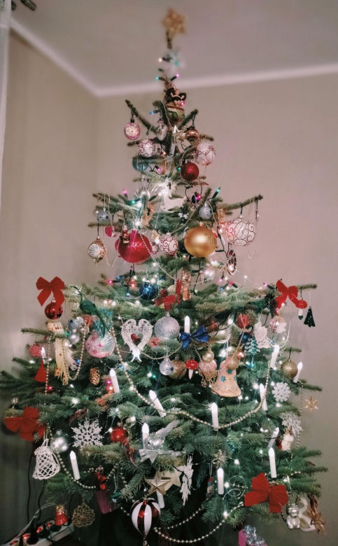 Choinki naszych Czytelników. Taki klimat tylko w woj. lubelskim!