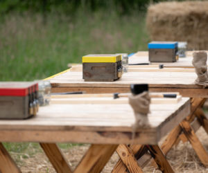 Farma, sezon 5, odcinek 4