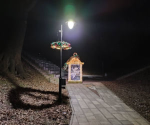 Tarnów. Świąteczna iluminacja już rozbłysła. Tak wygląda choinka na pl. Kazimierza