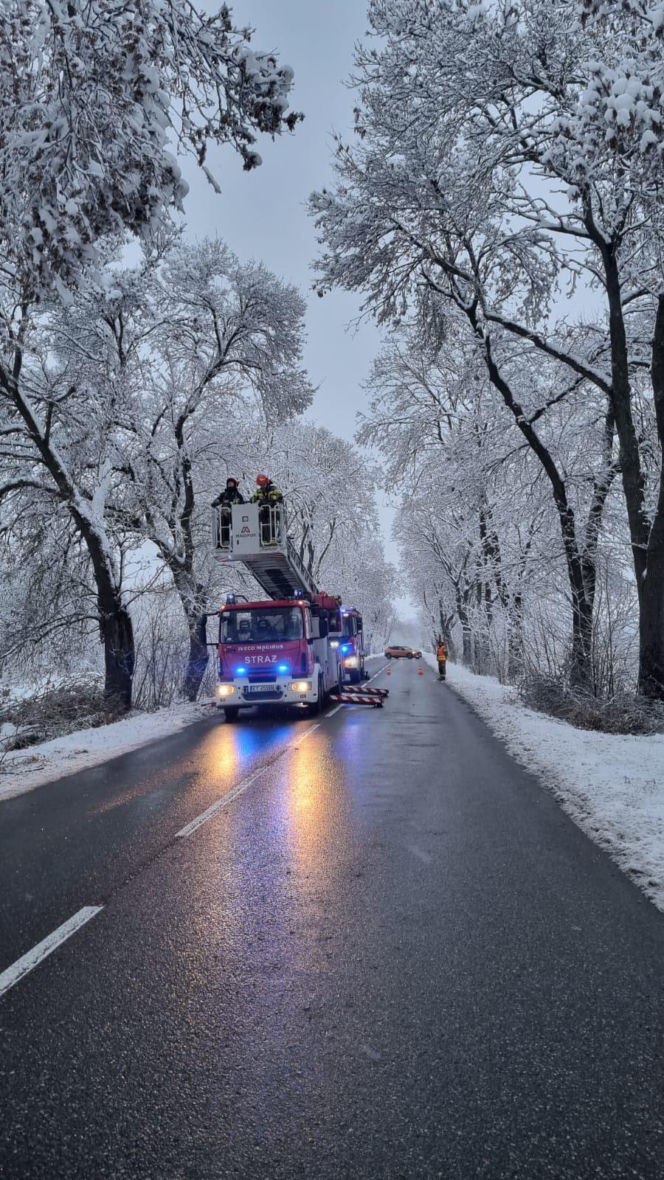 Pogodowy armagedon w Małopolsce. Drzewa łamały się jak zapałki. Setki interwencji