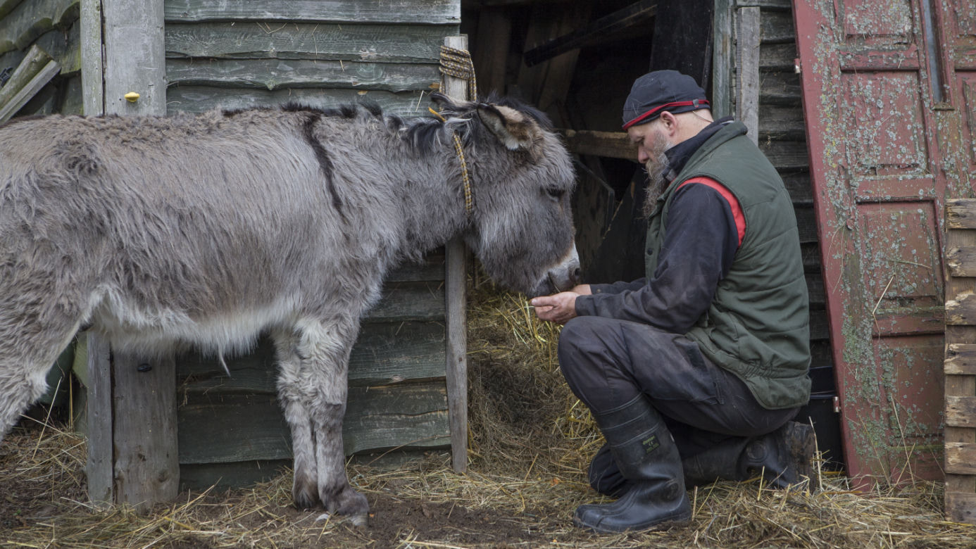 Rolnicy. Podlasie odcinek 15. Premiera w niedzielę 20 czerwca