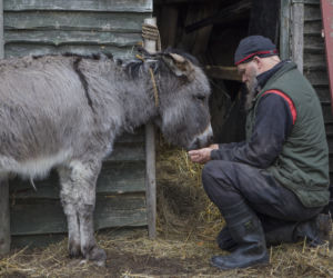 Rolnicy. Podlasie odcinek 15. Premiera w niedzielę 20 czerwca
