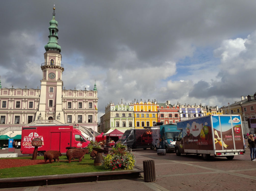 Grzybobranie lubelskie - naturalnie! Zamość 2023