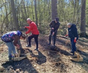 W Lesie Sekulskim rośnie już kilkaset nowych, młodych buków! Drzewa zasadzili członkowie siedleckiego samorządu i leśnicy