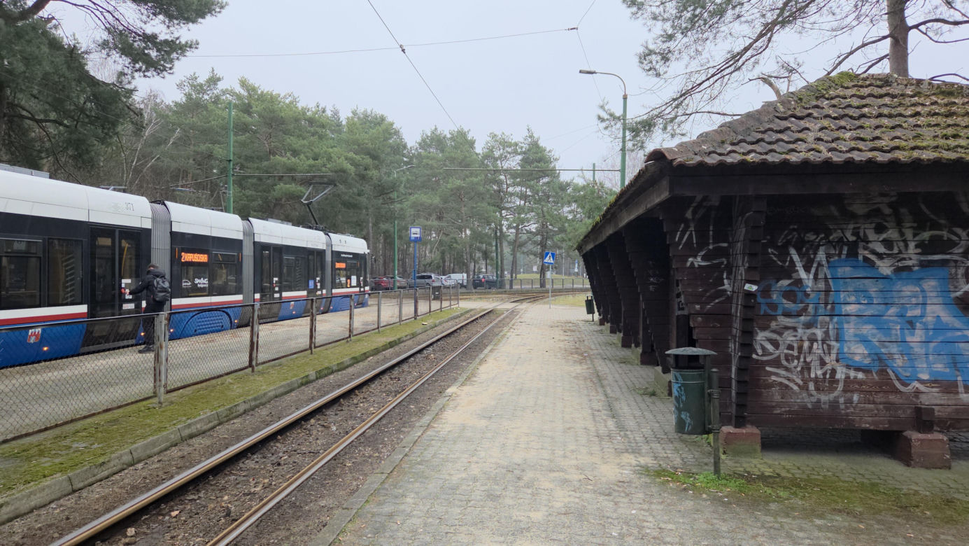 Przebudowa pętli Las Gdański ruszy w 2026 roku. Wycięto ponad 330 drzew!