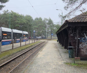 Przebudowa pętli Las Gdański ruszy w 2026 roku. Wycięto ponad 330 drzew!