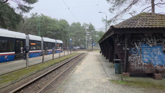 Przebudowa pętli Las Gdański ruszy w 2026 roku. Wycięto ponad 330 drzew!