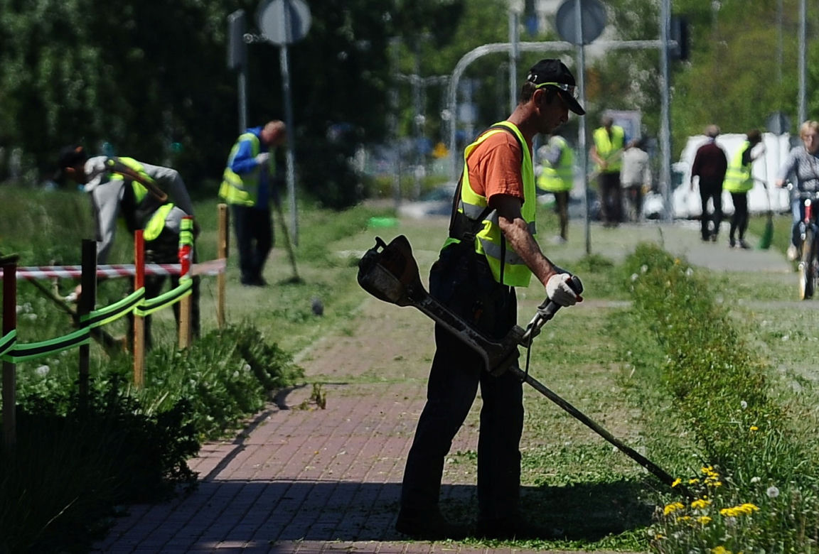 Warszawa wraca do koszenia trawników. Wielka akcja w Warszawie