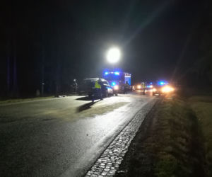 Katrynka. Czołowe zderzenie na DK 8. Dwie osoby nie żyją [ZDJĘCIA]