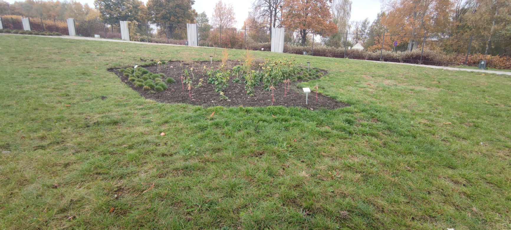 Rabaty w kształcie kontynentów w Ogrodzie Botanicznym w Kielcach