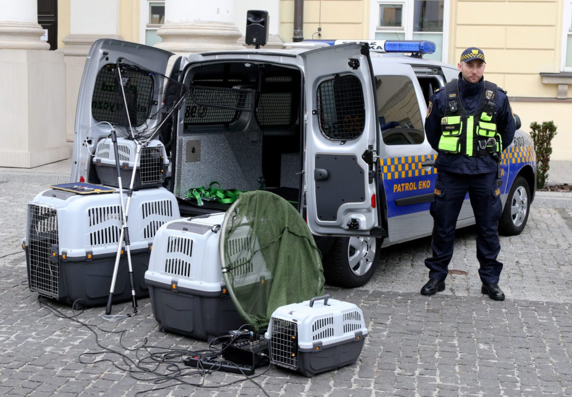 Nowy elektryk dla ekopatrolu