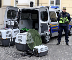 Nowy elektryk dla ekopatrolu