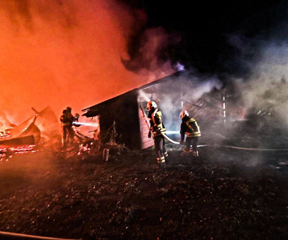 Syn spalił dobytek własnej matki, żeby zrobić jej na złość. Kobieta straciła majątek