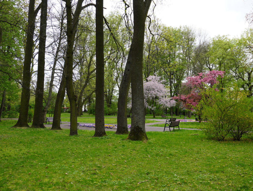 Park Bronowice wiosną 2024