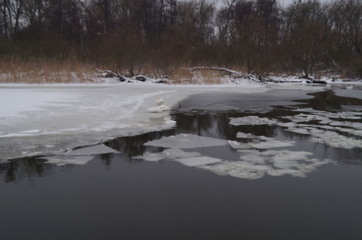 Lodołamacze na Odrze