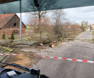 Szkody po Orkanie Eunice. Zrywało dachy, wyrywało grube drzewa, brakowało prądu