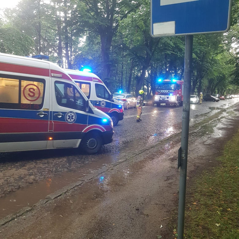 Piorun uderzył w dwóch mężczyzn w Rozewiu. Stali pod drzewem. Strażacy przystąpili do reanimacji [ZDJĘCIA].