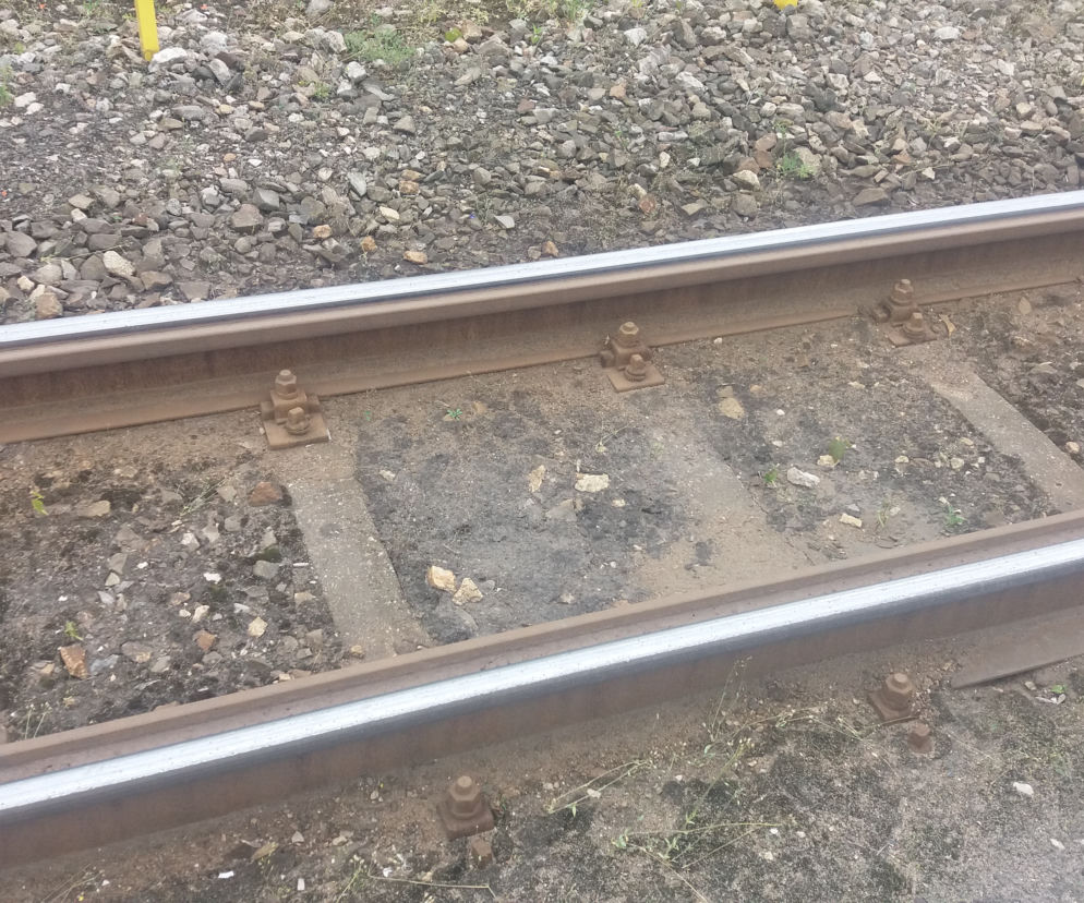 Ważna zmiana w komunikacji miejskiej! Tramwaje wrócą na swoje stałe trasy