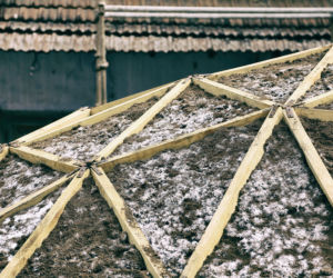 Shell Mycelium Pavillion