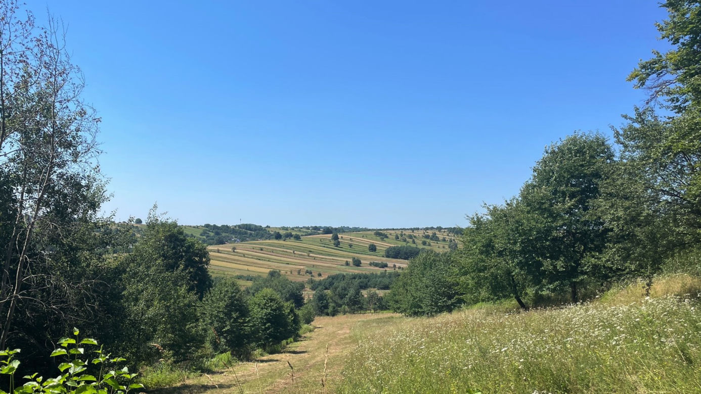 Roztoczański Park Narodowy - Bukowa Góra