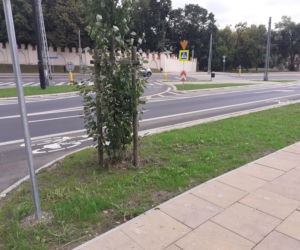 Rowerzyści mają zastrzeżenia do barierek i nachyleń na drodze między bernardyńską a Wesołą