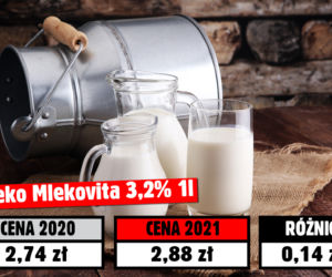 Koszyk świąteczny 2021! Tyle pieniędzy pochłonęła inflacja 