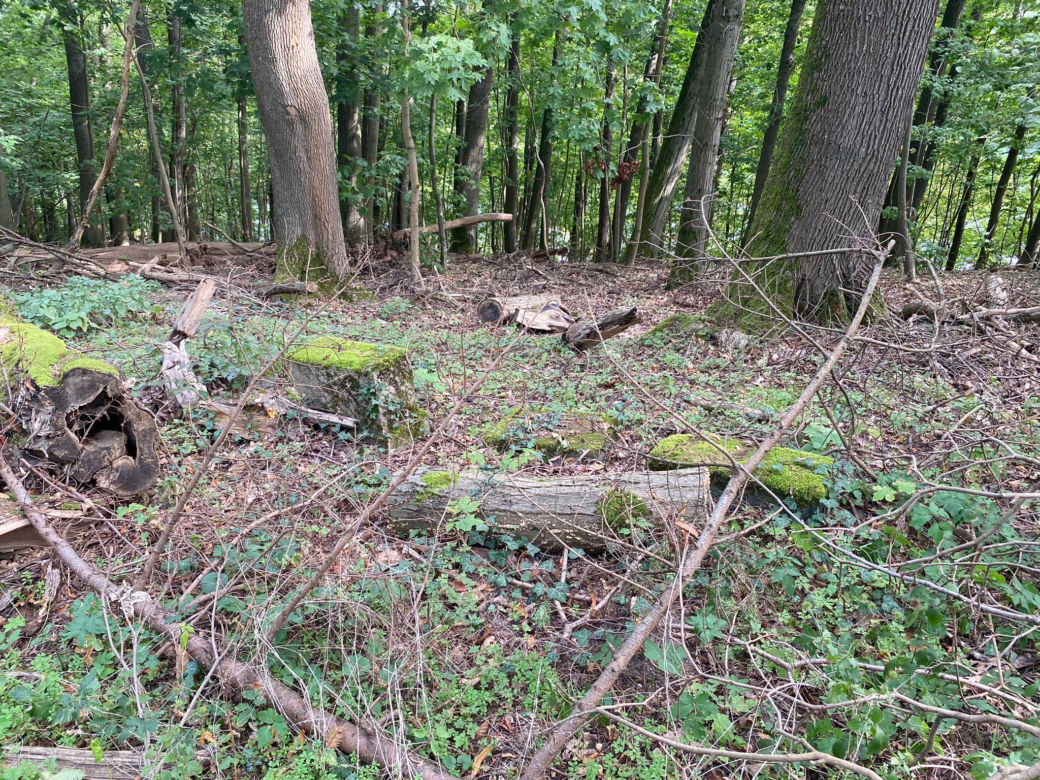 Tak wygląda opuszczony cmentarz w Łagowie, w woj. lubuskim
