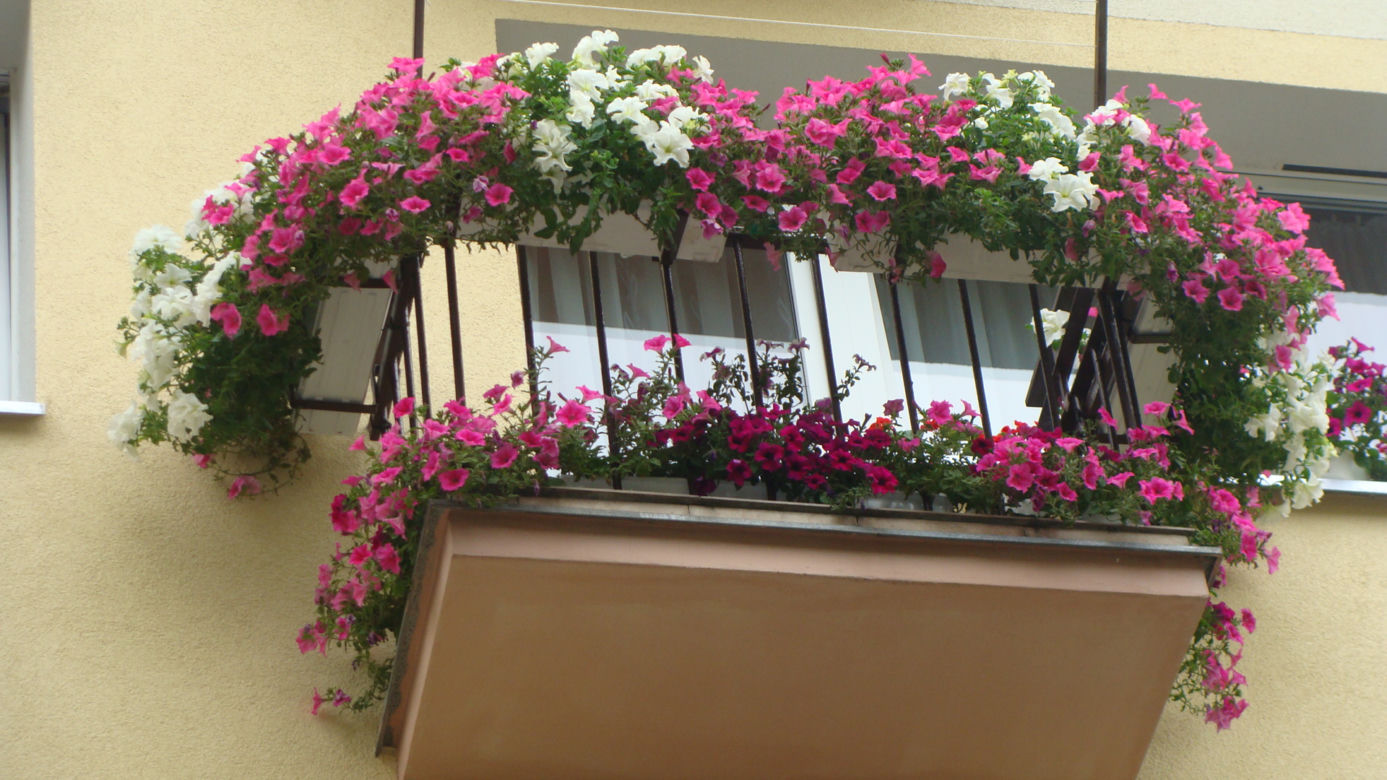 Najpiękniejsze balkony w Starachowicach