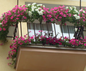 Najpiękniejsze balkony w Starachowicach