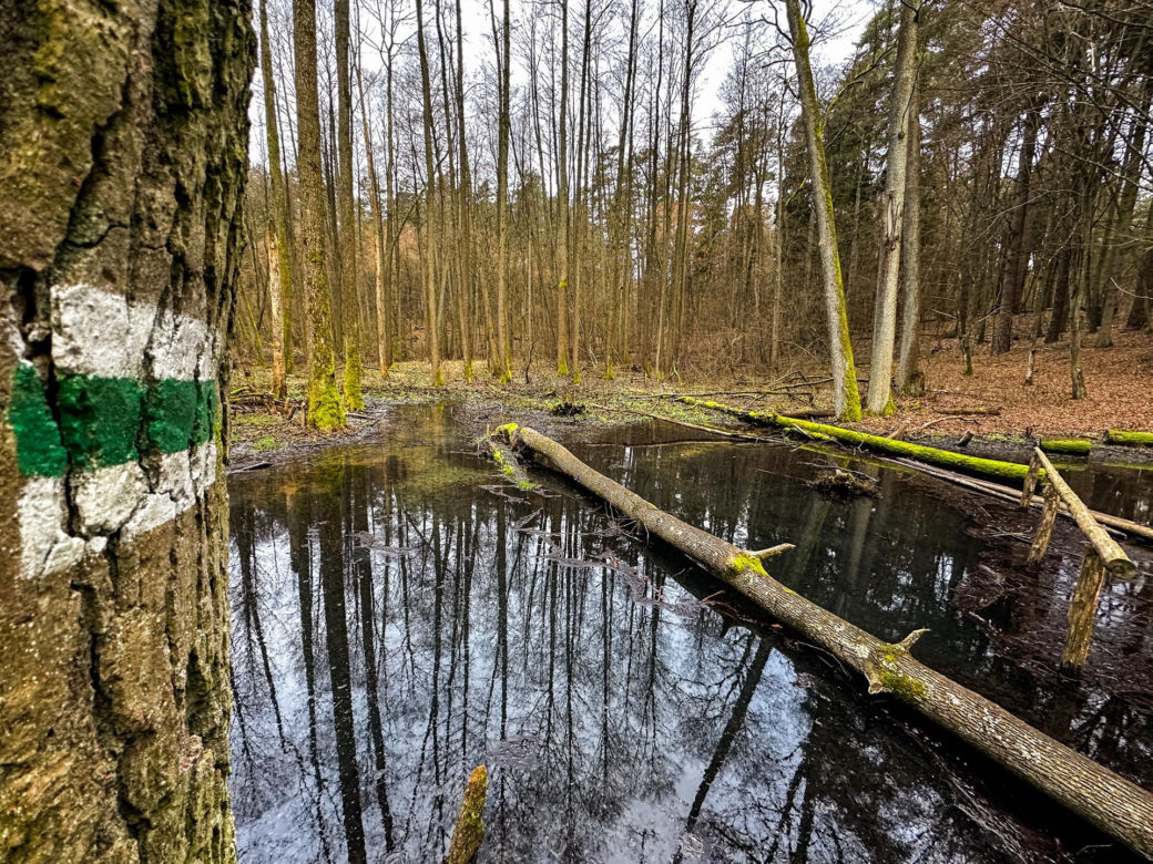 Rzeka Łyna