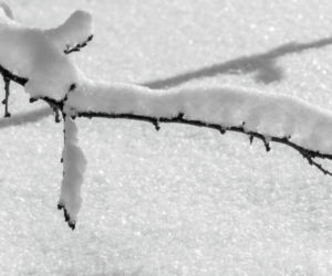 Noclegownia i ogrzewalnia działa na pełnych obrotach. Do Grudziądza powracają silne mrozy 