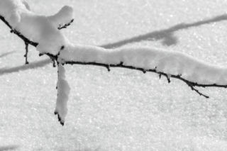 Noclegownia i ogrzewalnia działa na pełnych obrotach. Do Grudziądza powracają silne mrozy 