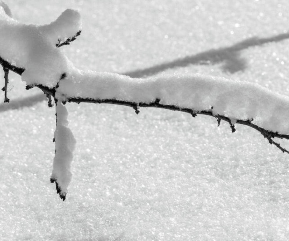 Noclegownia i ogrzewalnia działa na pełnych obrotach. Do Grudziądza powracają silne mrozy 