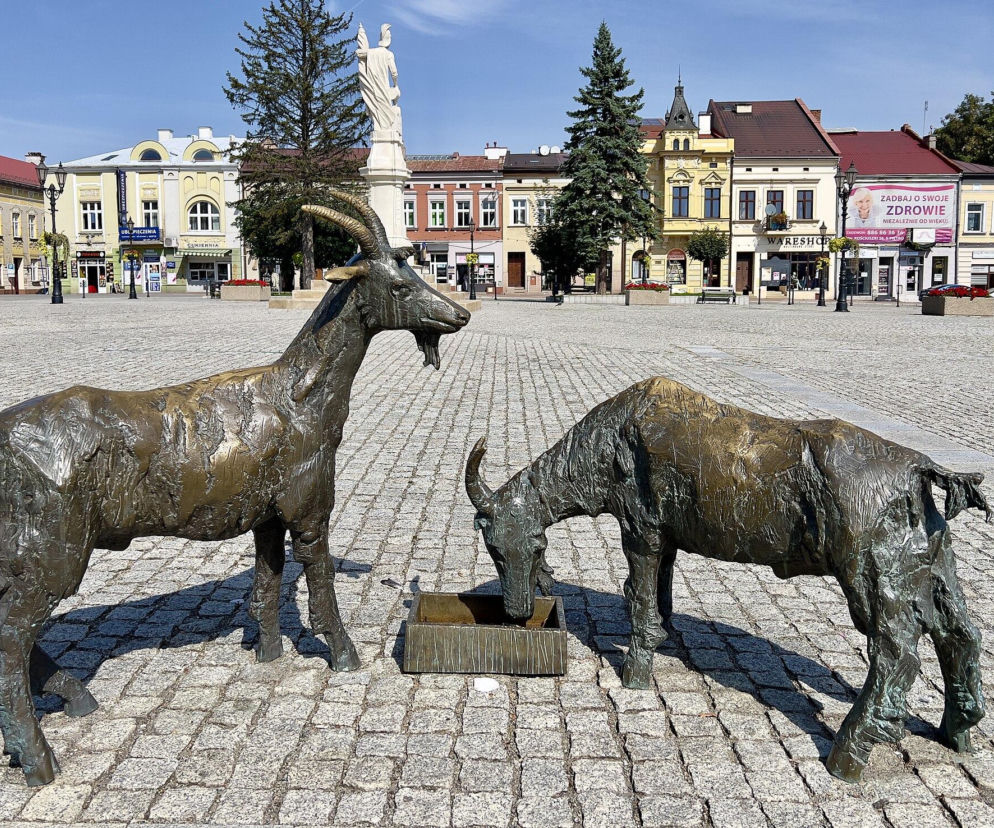 Rzeźba dwóch koziołków na rynku w Brzesku, polskim Monachium. O atrakcjach miasta przeczytasz na Eska Kraków.