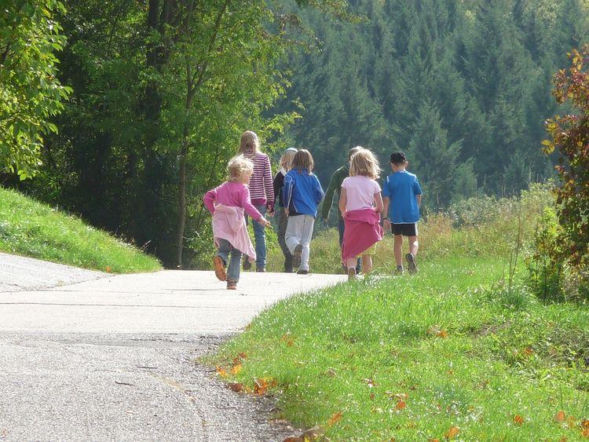 Wolne miejsca na półkoloniach
