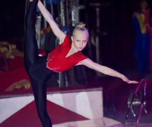 Festiwal w Cyrku Zalewski 2026. Oto zwycięzcy