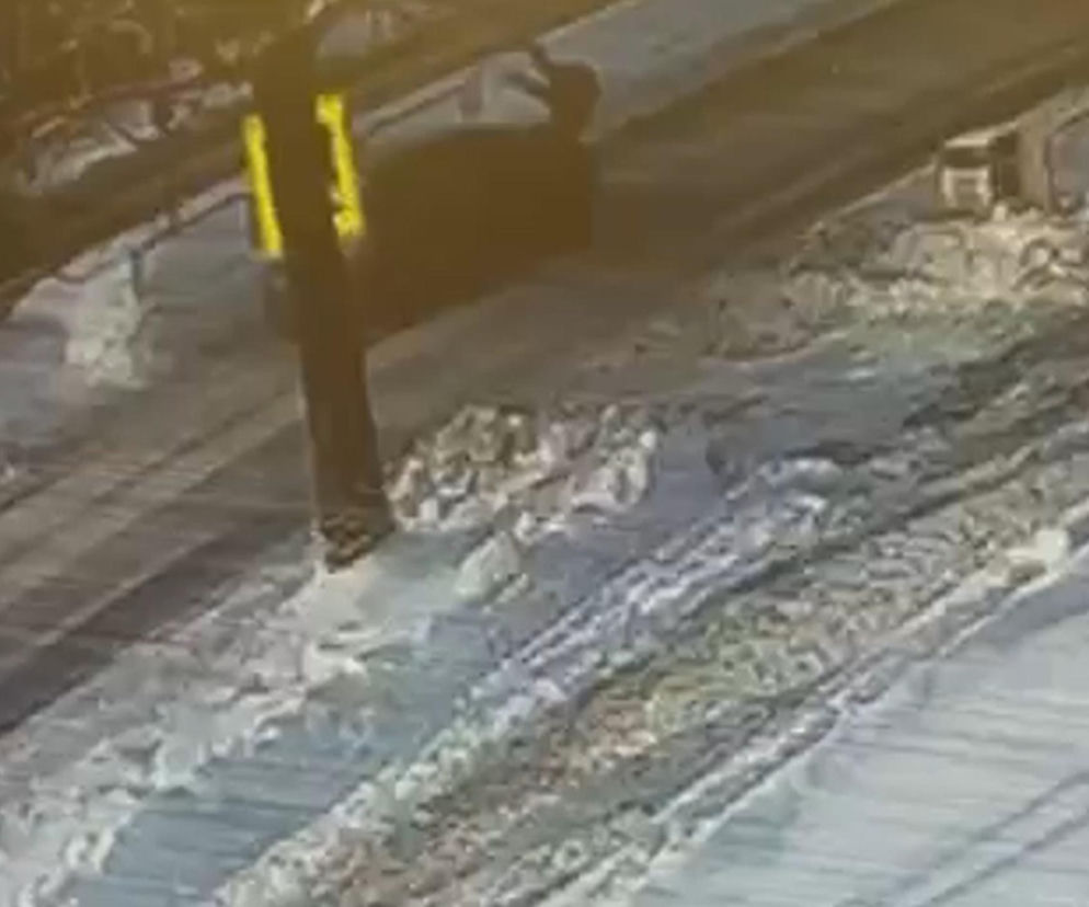 Miał prawo jazdy od 11 miesięcy. Potrącił kobietę na przejściu dla pieszych. Szokujące wideo
