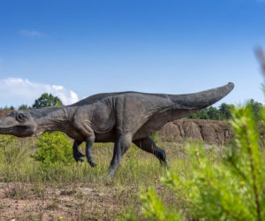 JuraPark Krasiejów na Opolszczyźnie