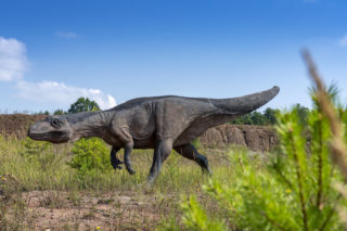 JuraPark Krasiejów na Opolszczyźnie