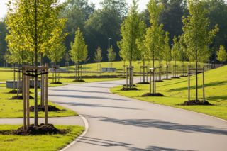 Gliwice budują nowy park. Kiedy mieszkańcy skorzystają z zielonej przestrzeni?