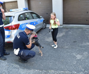 Wąchała drogę i biegała za samochodami. Groziła jej ŚMIERĆ. Teraz ma szczęśliwą rodzinę