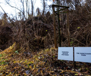 Park Akcji Burza w jesiennej odsłonie