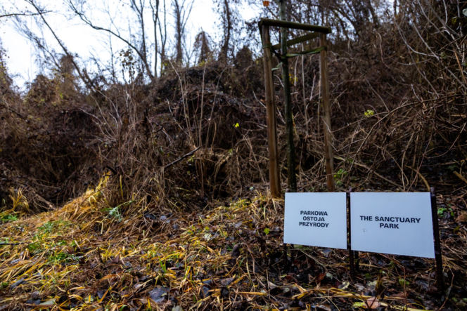 Park Akcji Burza w jesiennej odsłonie