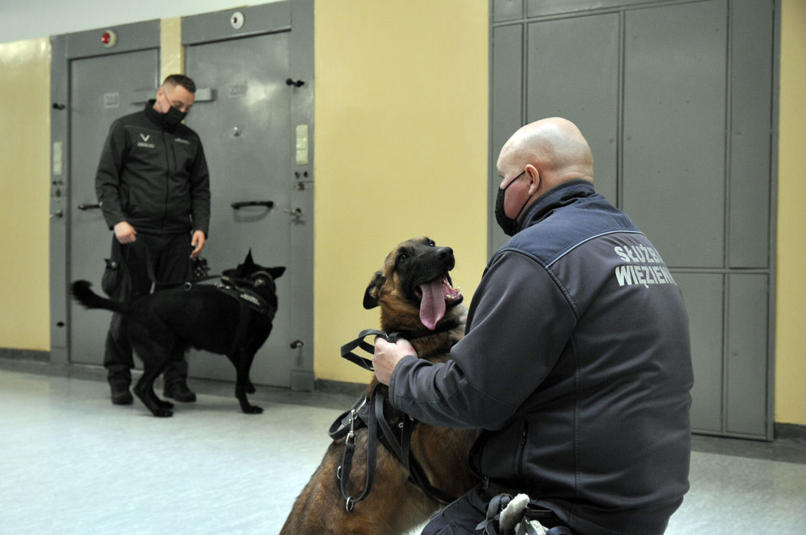Jest decyzja: będą specjalne udogodnienia na emeryturze! 