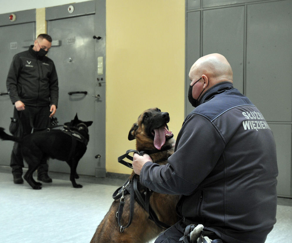 Jest decyzja: będą specjalne udogodnienia na emeryturze! 
