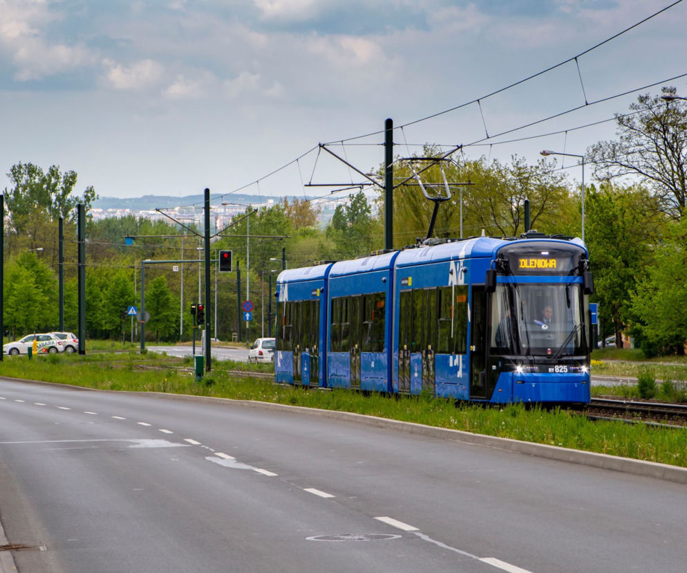 Stadler: Termin dostawy lajkoników jest zagrożony z powodu pandemii koronawirusa