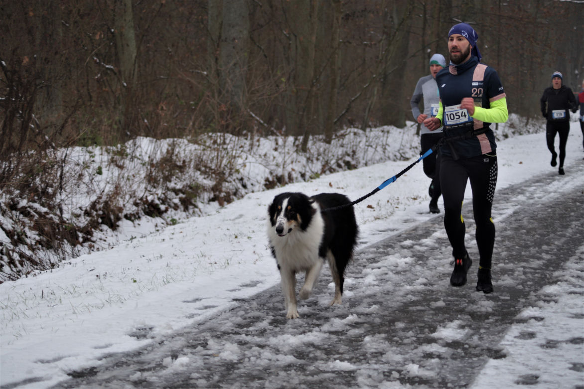 Wielkie ściganie w Myślęcinku! Za nami kolejny bieg City Trail 2022 [ZDJĘCIA]