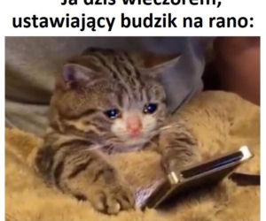 Memy o szkole 2020. Nauka u dobie koronawirusa. Żarty z nowej sytuacji 